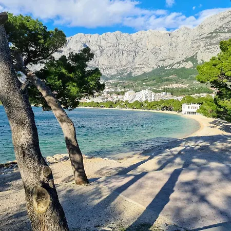 Ivona With Beautiful Seaview *