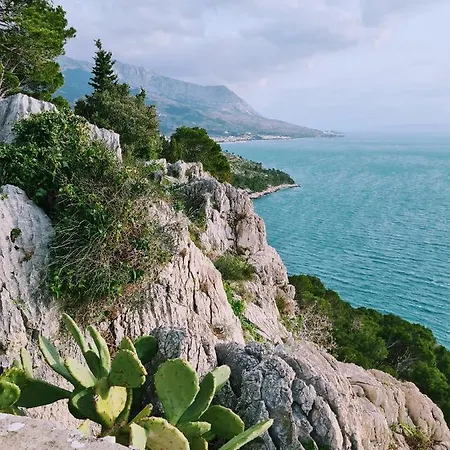 Ivona With Beautiful Seaview Makarska